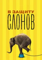  В защиту слонов смотреть онлайн (2013) 